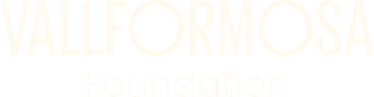 Logo de Vallformosa Foundation